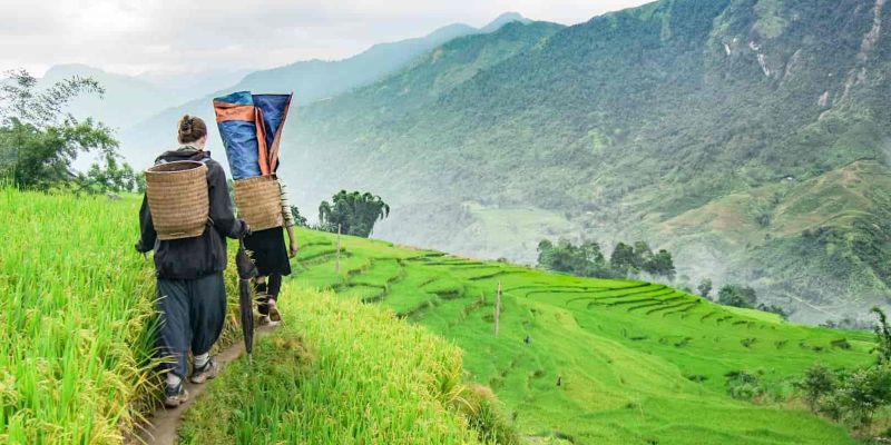 Los 20 caminos más hermosos para conquistar al hacer senderismo en Vietnam