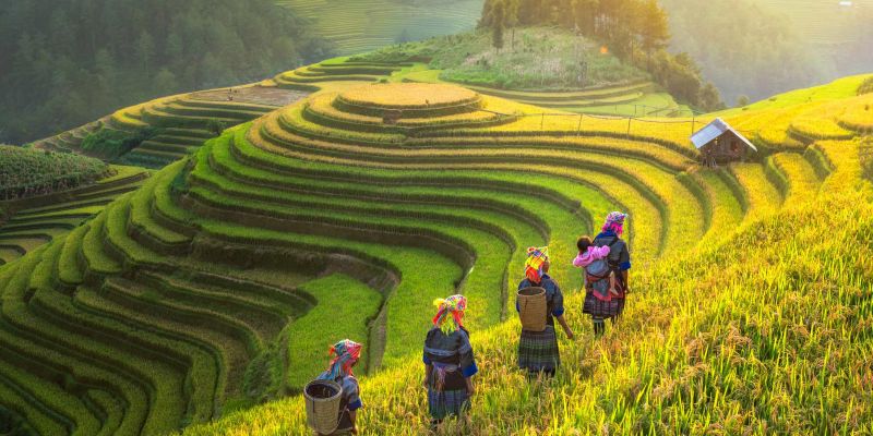 10 razones para visitar Vietnam 2022 – 2023